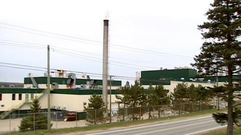Weyerhaeuser