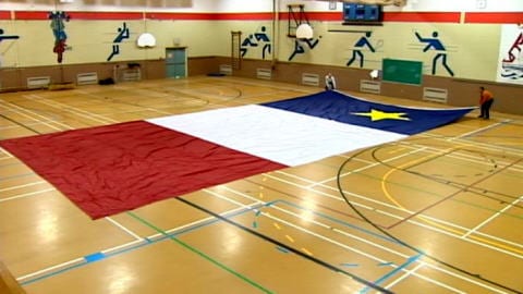 Drapeau acadien