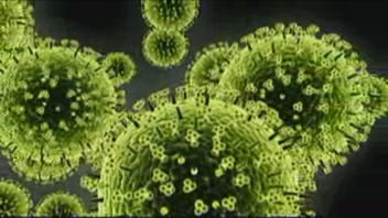 Virus H1N1