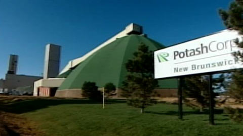 Potasse