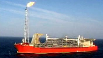 Pétrole, White Rose