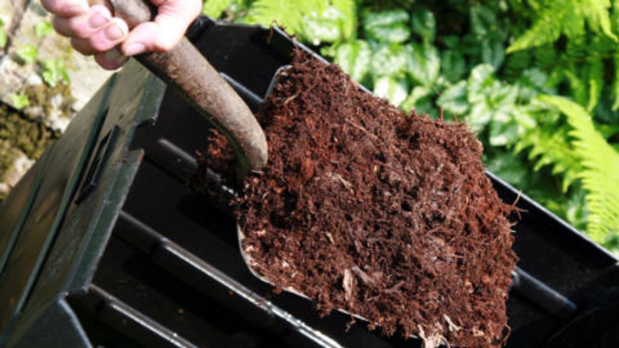 La collecte du compost dès avril | Radio-Canada