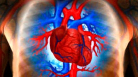 Un coeur