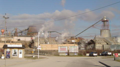 Dubreuil Forest Products