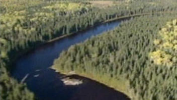 Rivière du nord de l'Ontario