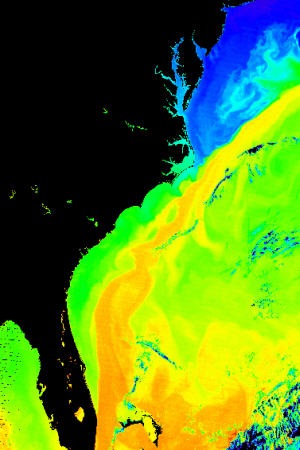 Gulf Stream