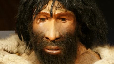 Un homme de Néandertal