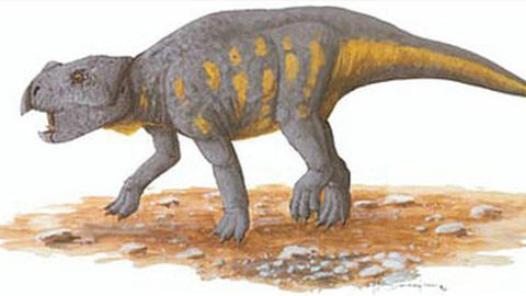 Un dinosaure à corne