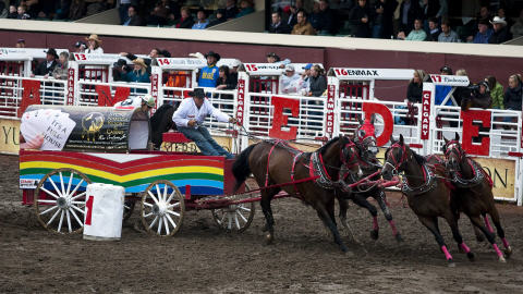 Une course lors du Stampede
