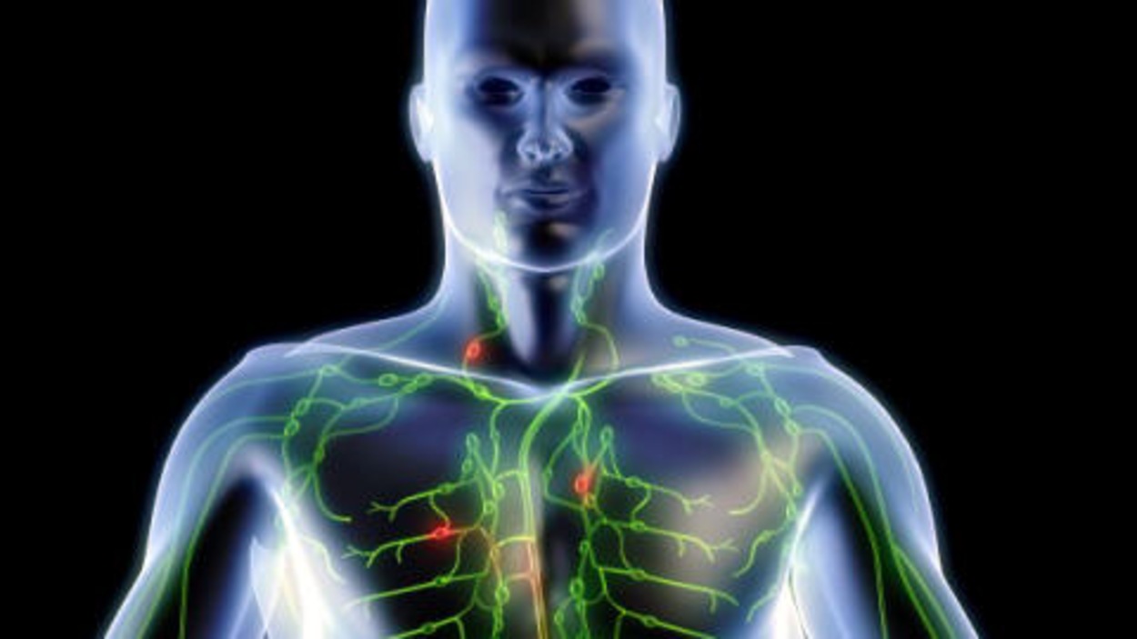 Augmentation Du Risque De Certaines Tumeurs Radio Canada Ca