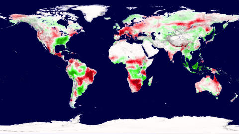 Cette carte de 2003 montre les zones où la productivité végétale augmente (en vert) et où elle diminue (en rouge).