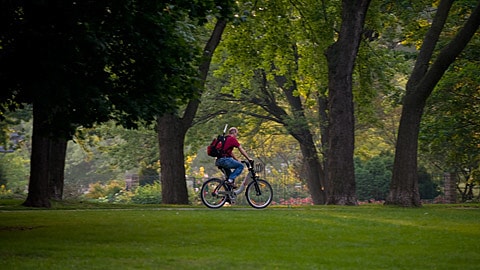 Le parc La Fontaine