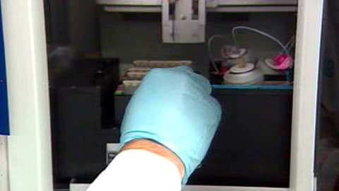 Un chercheur procède à des tests