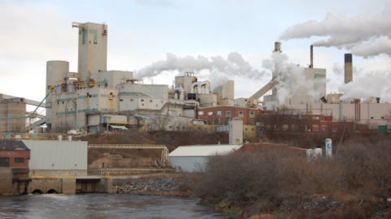 Bond des profits de Domtar RadioCanada