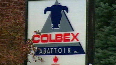 L'abattoir Levinoff-Colbex