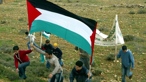 Des jeunes Palestiniens du village de Beit Surik portent un drapeau palestinien (archives)