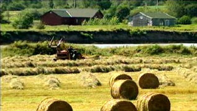Agriculture