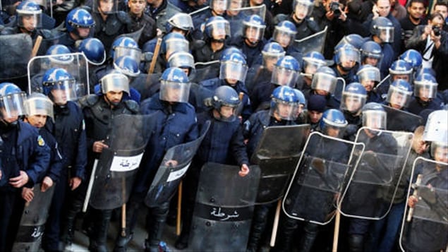 Les forces de l'ordre empêchent une tentative de manifestation du RCD à Alger le 22 janvier 2011.