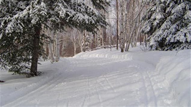 Ski de fond