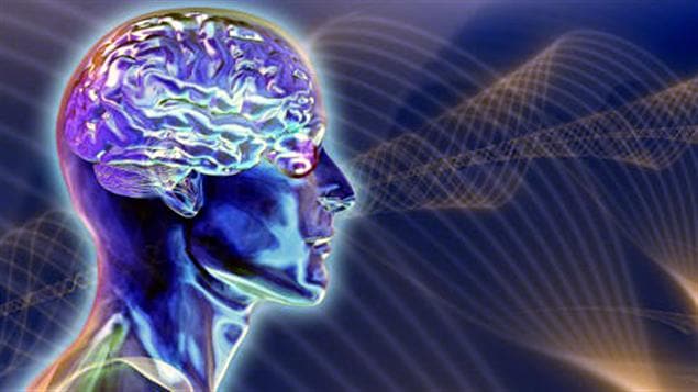 Le cerveau capte des ondes