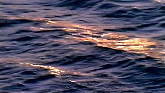 Mer