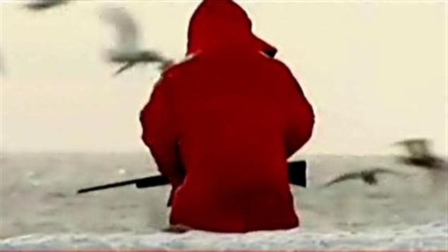 Un chasseur de phoque