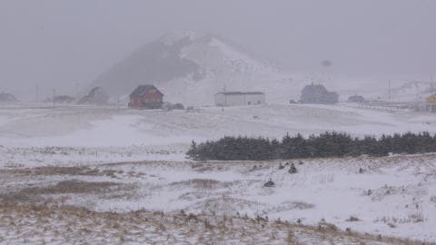 27/03/11<br>Gustave Lapierre, Îles-de-la-Madeleine, Québec