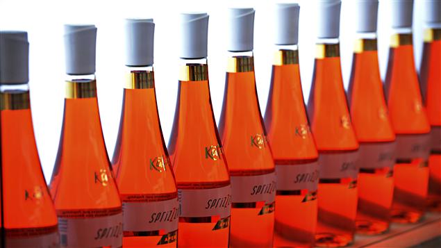 Bouteilles de vin