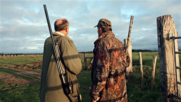 Les armes d'épaule figurent pour l'instant sur le registre des armes à feu