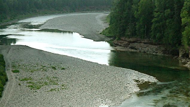 Riviere Bonaventure