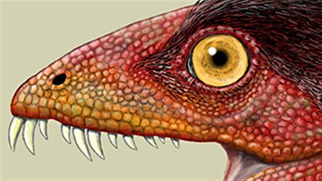 Daemonosaurus chauliodus