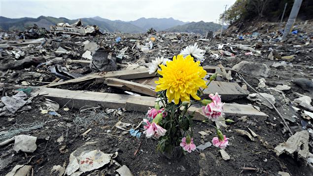 Une fleur au milieu des décombres laissés par le tsunami à Otsuchi, au Japon