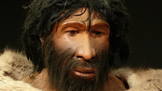 Représentation d'un homme de Néandertal