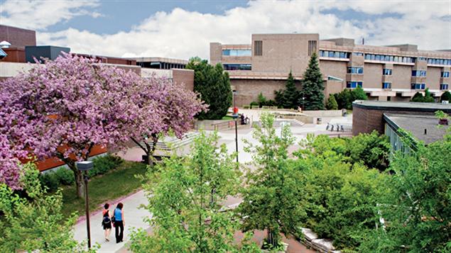 Université Lakehead