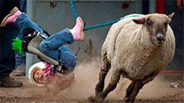 Le Little Britches Rodeo de High River est annulé pour la première fois en 53 ans d'histoire.