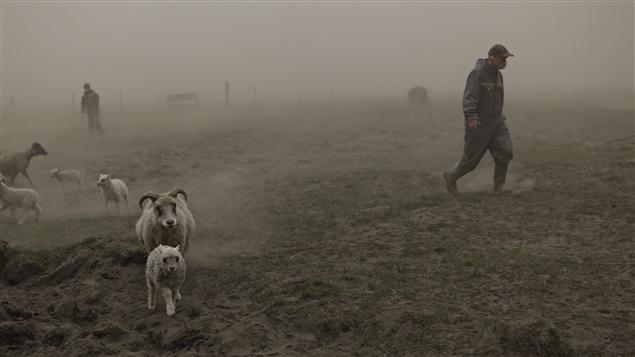 En Islande, un éleveur ovin marche dans un nuage de cendre causé par l'éruption du Grimsvötn.