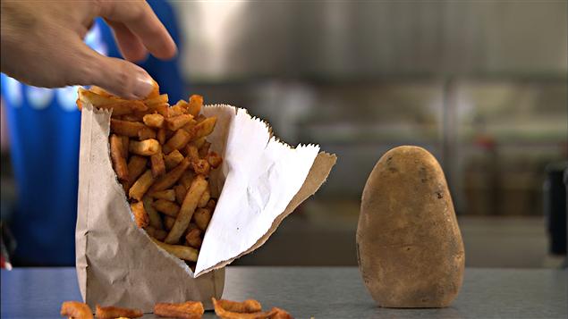 frites