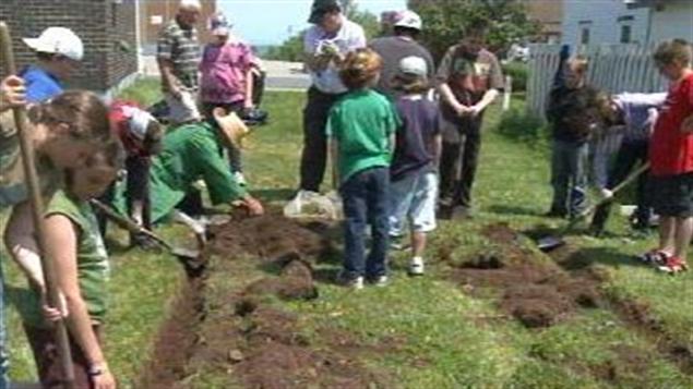 Les écoliers dans leur potager