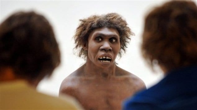 Représentation d'un homme de Néandertal 