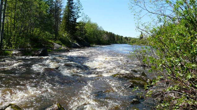 La vallée de la rivière Turgeon en canot RadioCanada
