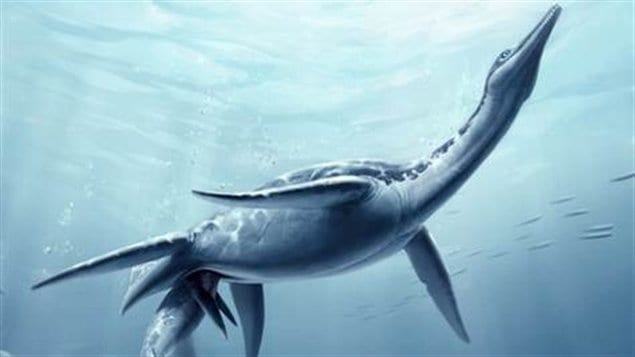 Un Polycotylus latippinus donnant naissance