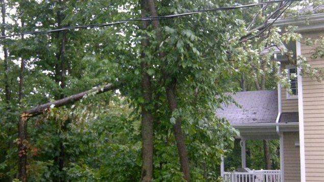 Un arbre est tombé sur une maison dans le secteur Rock Forest de Sherbrooke.