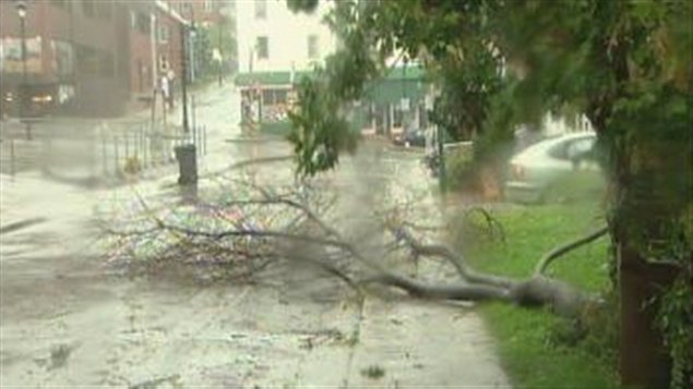 Un arbre cassé sur la rue King Ouest à Sherbrooke.
