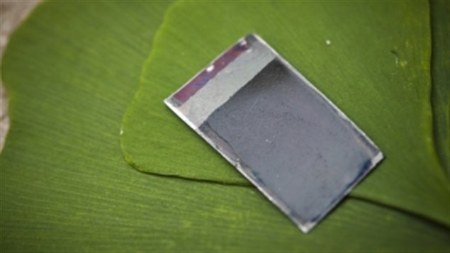 La feuille artificielle