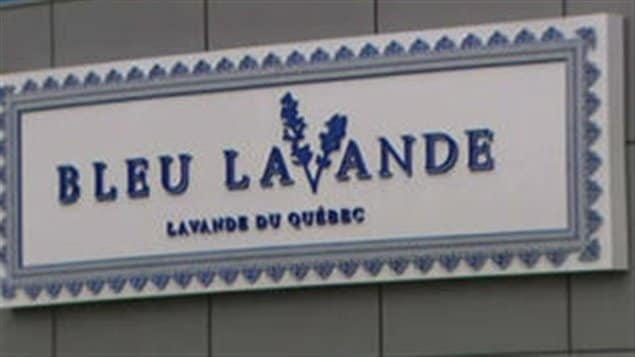 Bleu Lavande