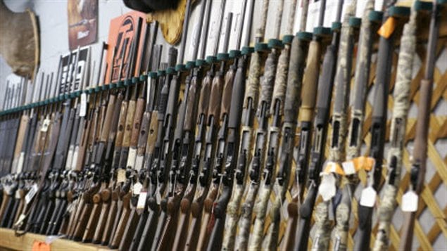 Des fusils de chasse
