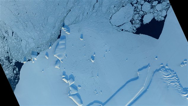Des icebergs le long de la côte est de l'Antarctique