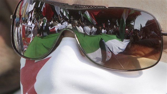L'image de manifestants antisyriens se réflète dans les lunettes de l'un d'entre eux, lors d'une manifestation devant les bureaux de la Ligue arabe, au Caire, le 12 novembre.