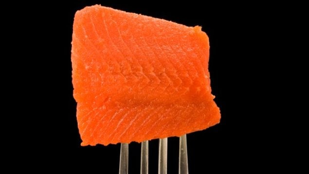 Un morceau de saumon au bout d'une fourchette
