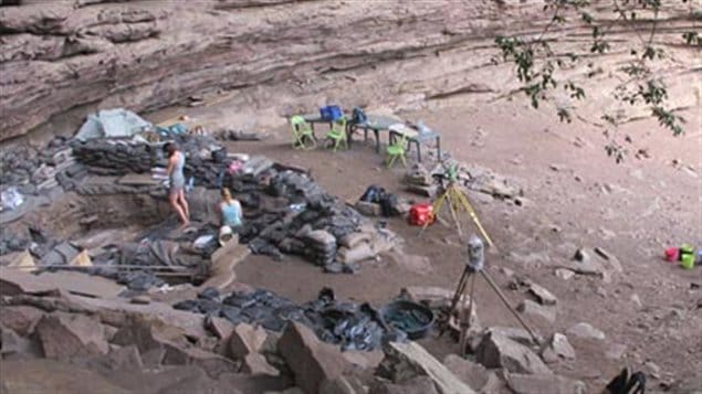 Le site de Sibudu